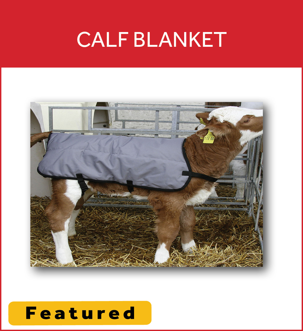 Calf Blanket